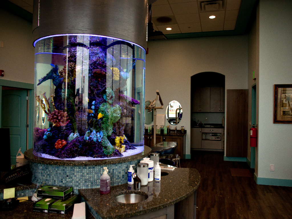 586_fishguyz_2014_